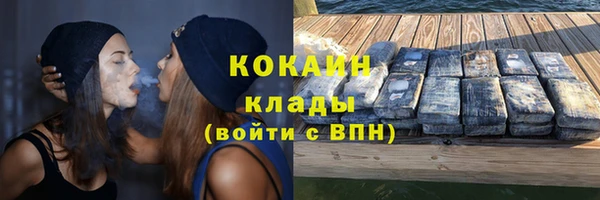 индика Каменка