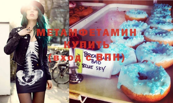 индика Каменка