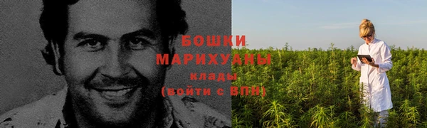 индика Каменка