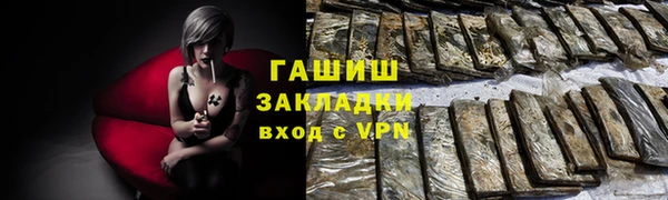 индика Каменка