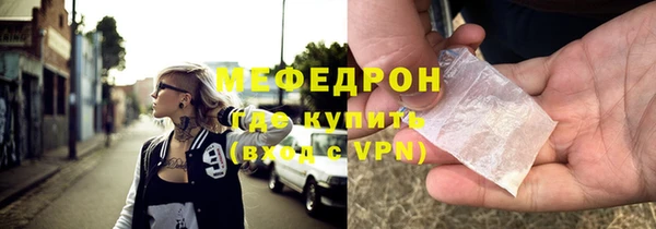 индика Каменка
