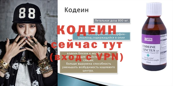 индика Каменка
