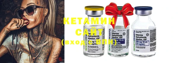 индика Каменка