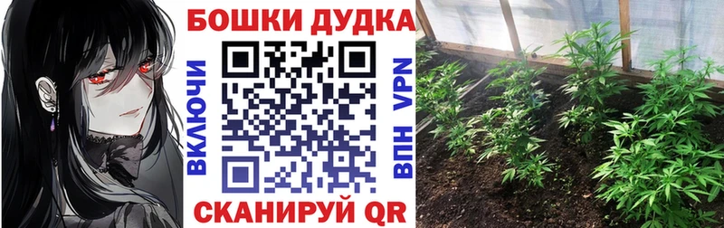Бошки марихуана VHQ  Северская 
